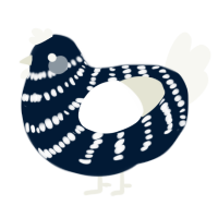 A tumblr and white chicken with a bar pattern