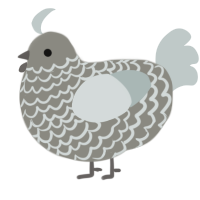 A ash and silver chicken with a lace pattern