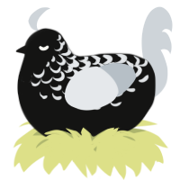 A black and mist chicken with a half-lace pattern