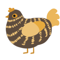A bark and honey chicken with a bar pattern
