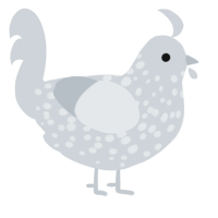 A mist chicken with a speckle pattern