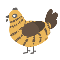 A honey and bark chicken with a bar pattern