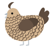 A beige and bark chicken with a lace pattern