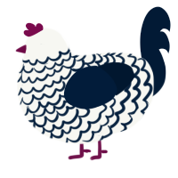 A white and tumblr chicken with a lace pattern
