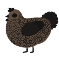 A bark and sable chicken with a double-lace pattern