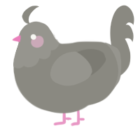 A ash chicken with a head pattern