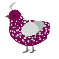 A wine and silver chicken with a speckle pattern