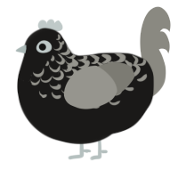 A sable and ash chicken with a half-lace pattern