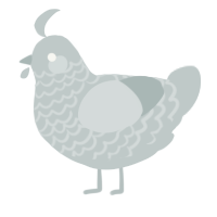 A silver chicken with a lace pattern