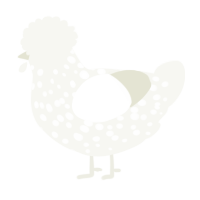 A white chicken with a speckle pattern