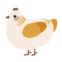 A cream and orange chicken with a neck-band pattern