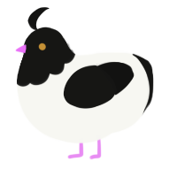 A white and black chicken with a head pattern