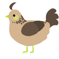 A beige and bark chicken with a neck-speckle pattern