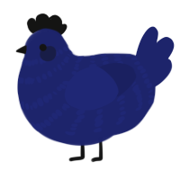 A navy chicken with a bar pattern