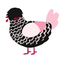 A black and rose chicken with a lace pattern