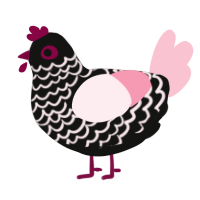 A black and rose chicken with a lace pattern