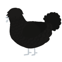 A sable and black chicken with a lace pattern