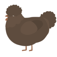 A bark chicken with a head pattern