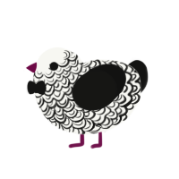 A white and black chicken with a double-lace pattern