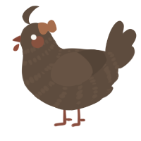 A bark chicken with a bar pattern
