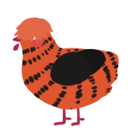 A vermilion and sable chicken with a bar pattern