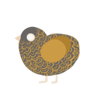 Gilded, a grey and gold chicken with a double-lace pattern