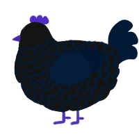 A black and tumblr chicken with a lace pattern