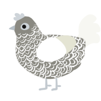 A ash and white chicken with a double-lace pattern
