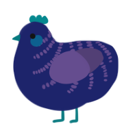 A navy and overcast chicken with a half-bar pattern