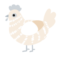 A cream chicken with a bar pattern