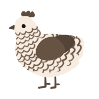 A cream and bark chicken with a lace pattern