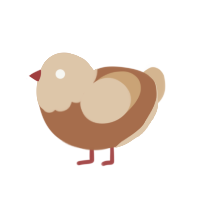 Cinna, a brown and beige chicken with a head pattern