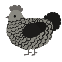 A ash and sable chicken with a lace pattern
