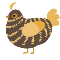 A bark and honey chicken with a bar pattern