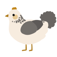 A cream and grey chicken with a neck-speckle pattern