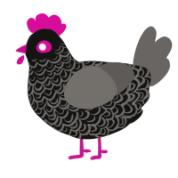 A black and grey chicken with a double-lace pattern