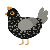 A black and ash chicken with a speckle pattern