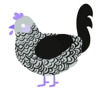 A silver and black chicken with a double-lace pattern