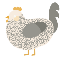 A cream and ash chicken with a double-lace pattern