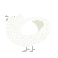 A white chicken with a lace pattern