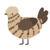 A beige and bark chicken with a bar pattern