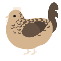 A beige and bark chicken with a half-lace pattern