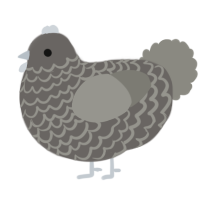 A grey and ash chicken with a lace pattern