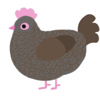 A grey and bark chicken with a double-lace pattern