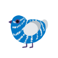 blue sailor, a sapphire and mist chicken with a bar pattern