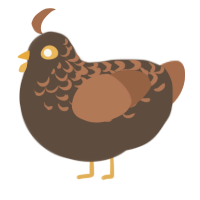 A bark and brown chicken with a half-lace pattern