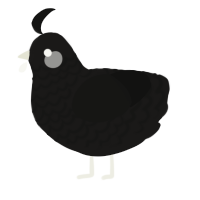 A sable and black chicken with a lace pattern
