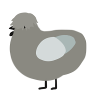 A ash and silver chicken