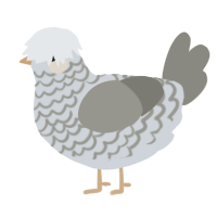 A mist and ash chicken with a lace pattern