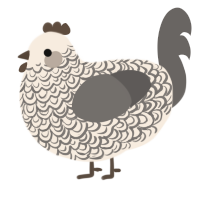A cream and grey chicken with a double-lace pattern